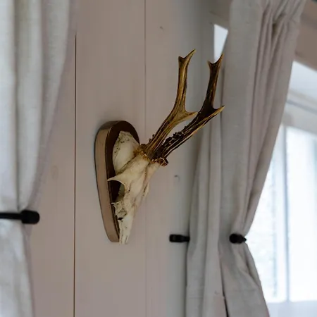 De Oude Walnoot Casa de Férias *