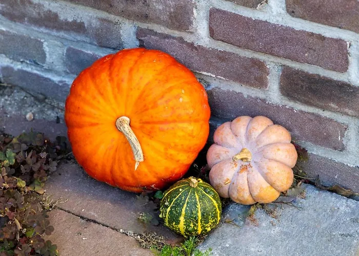 De Oude Walnoot Sint Pancras