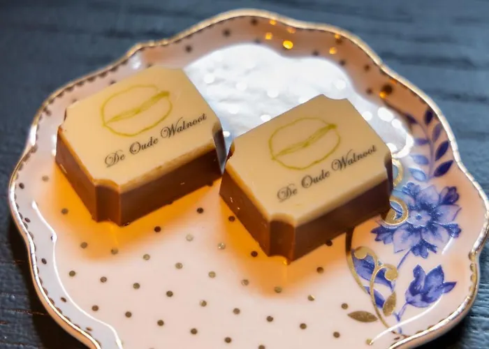 בית נופש De Oude Walnoot