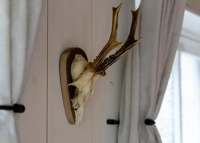 De Oude Walnoot בית נופש *